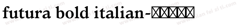 futura bold italian字体转换
